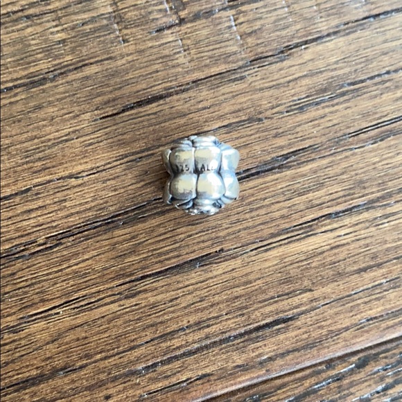 Pandora blooming rose - Picture 4 of 4